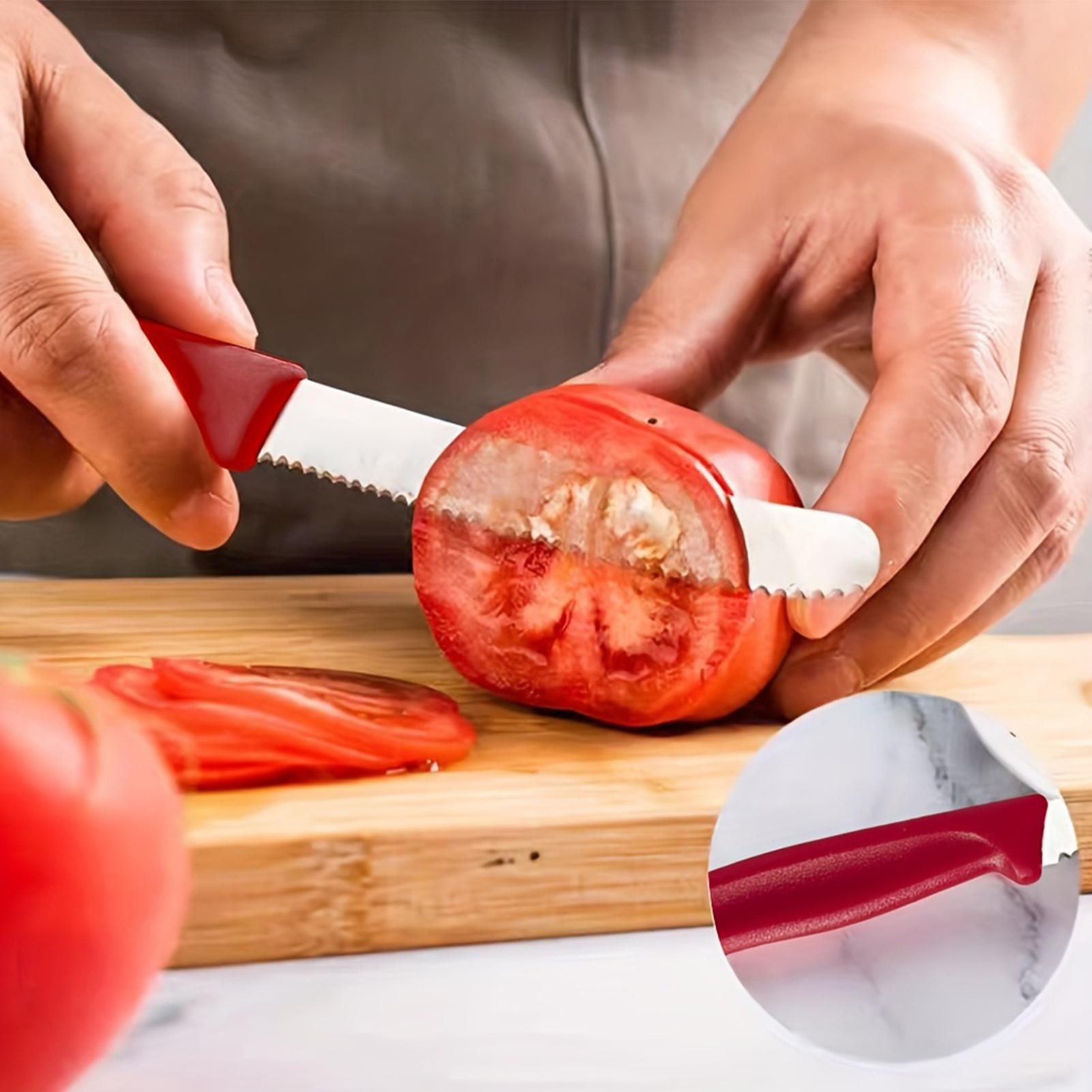 Zestaw 5 sztuk serwozwojów do  – Meal Prep For Cutting recenzja i cena